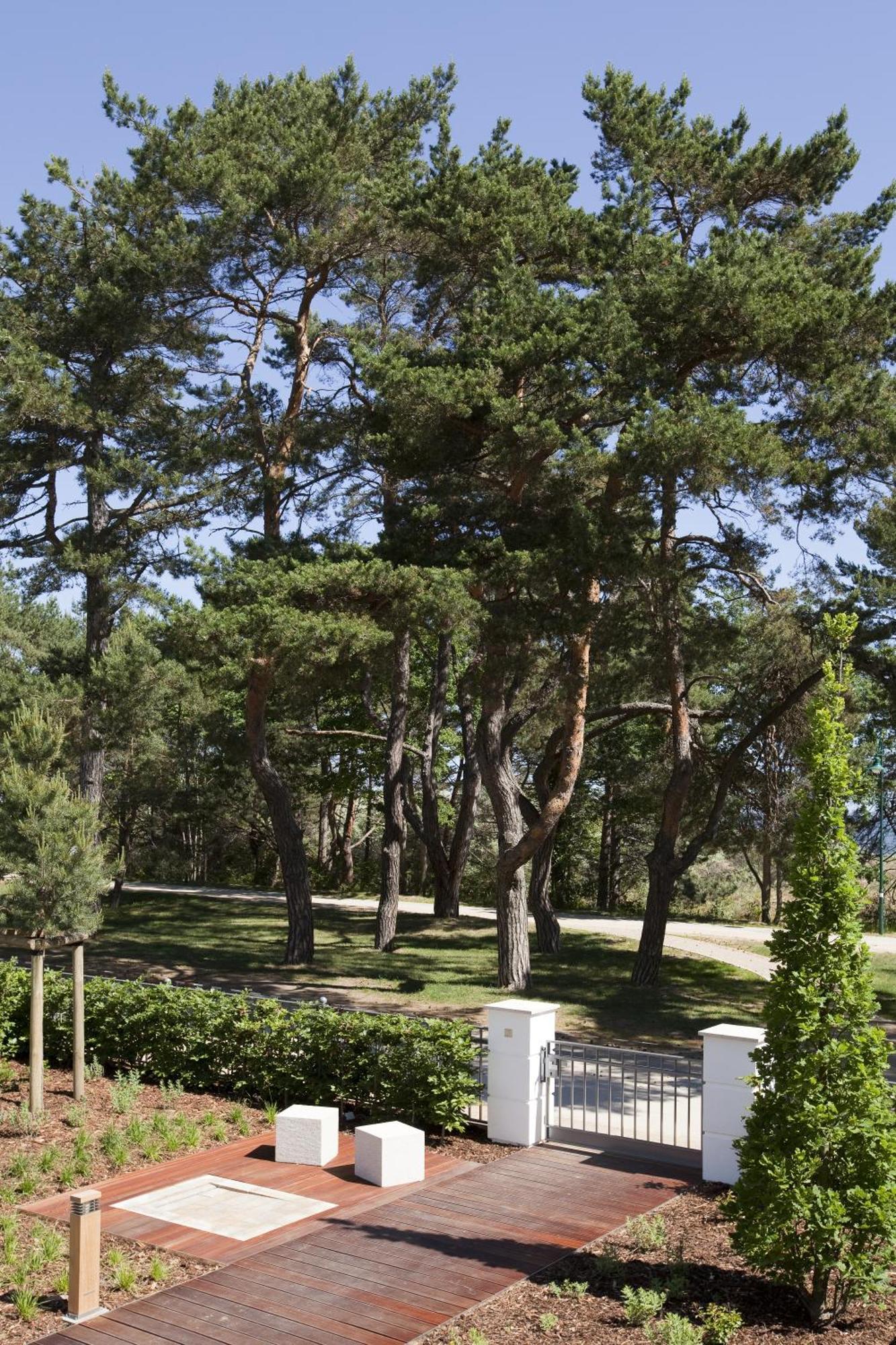 Steigenberger Grandhotel & Spa Heringsdorf Exteriör bild Pines in the park